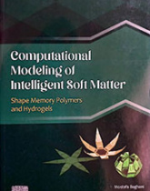 Computational Modeling of Intelligent Soft Matter