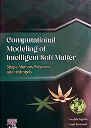 Computational Modeling of Intelligent Soft Matter