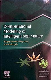 Computational Modeling of Intelligent Soft Matter